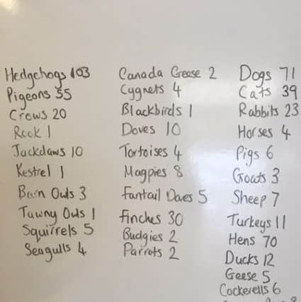 The list of animals