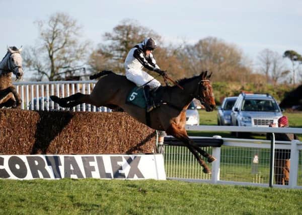 Sunny Ledgend and James Martin set sail for home when winning at Towcester in January. Can the partnership repeat the feat tomorrow for the father and son team based at Swerford near Chipping Norton? Picture by Gavin James