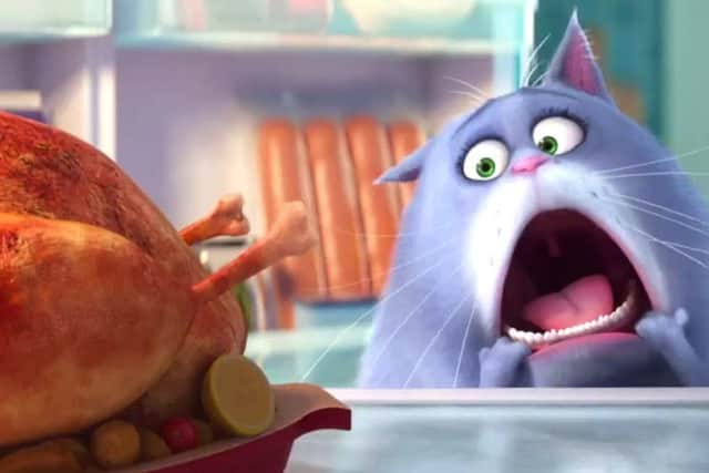 Secret Life of Pets was also in the top 10