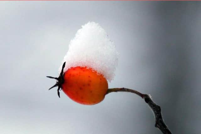 The first snowfall of winter could be here within days