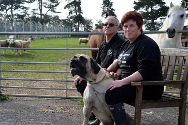 Roy and Annie Marriott from Animals In Need
