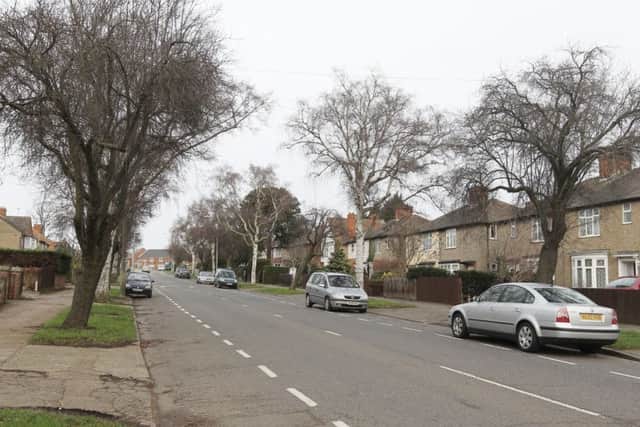 Concerns have been raised over the felling of trees in Wellingborough, including in Eastfield Road