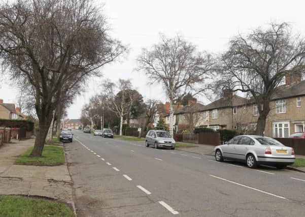 Concerns have been raised over the felling of trees in Wellingborough, including in Eastfield Road