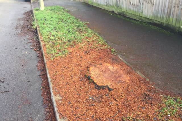 A tree stump in Third Avenue, Wellingborough