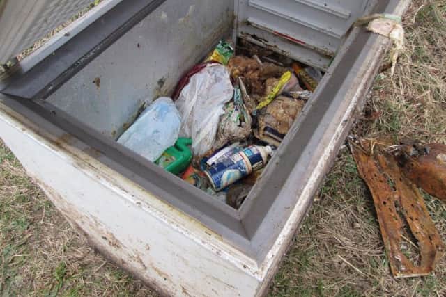 The dumped freezer