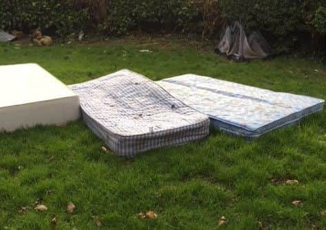 More of the rubbish collected in the area