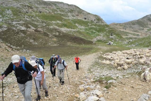Walking holidays