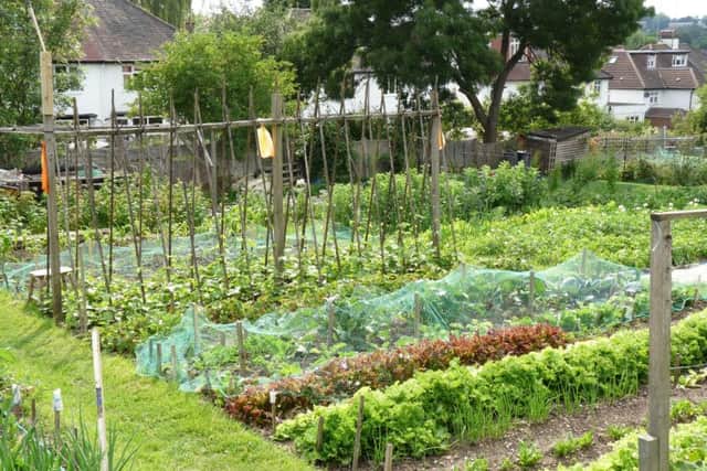Police are urging allotment owners to be vigilant (file picture)