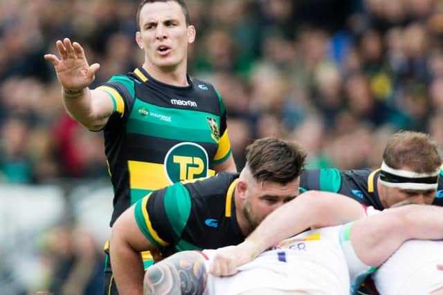 Louis Picamoles enjoyed a stellar season at Saints (picture: Kirsty Edmonds)