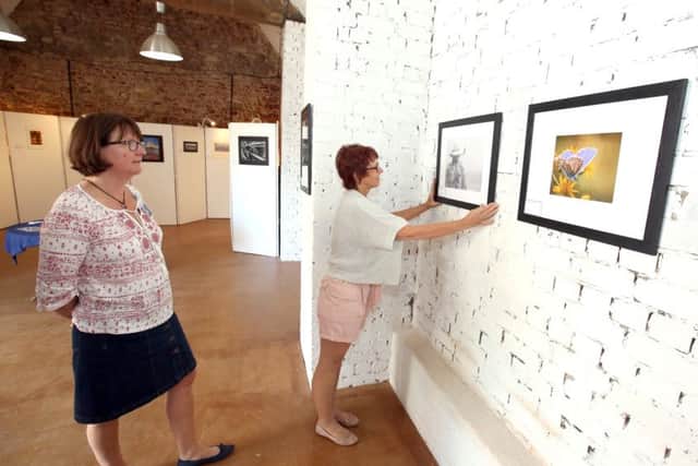 KettFest 2016: Kettering: the people's art, music and culture festival.Kettering Photographic Society exhibition in The YardsSaturday July 2 2016 NNL-160307-172421009