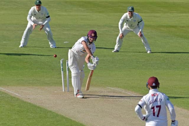 Max Holden is on loan at Northants from Middlesex (picture: Dave Ikin)