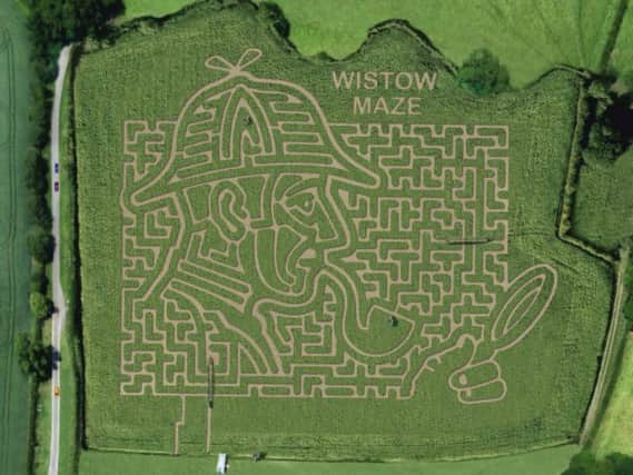 Aerial view of Wistow Maze