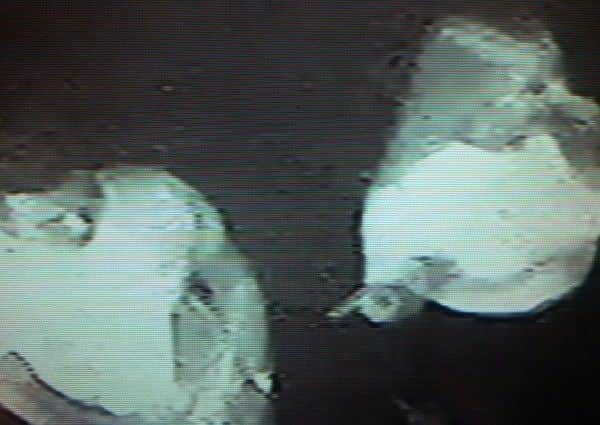 They have also released the following CCTV images of potential witnesses