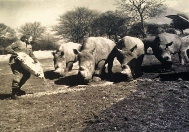 Geoff with the rhinos at Woburn Safari Park
