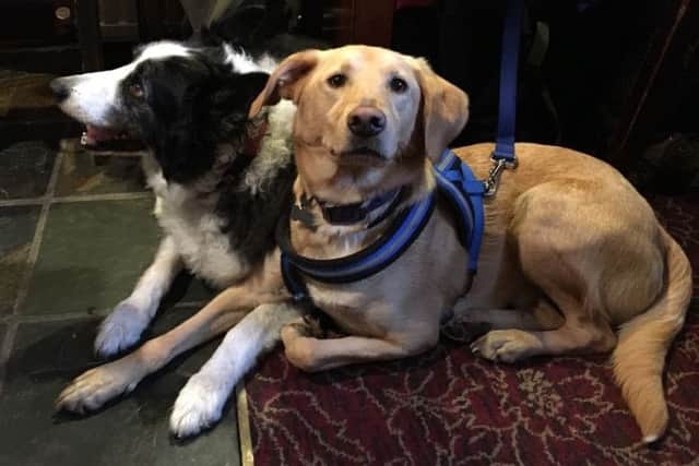 Tyson and his new best friend Bracken