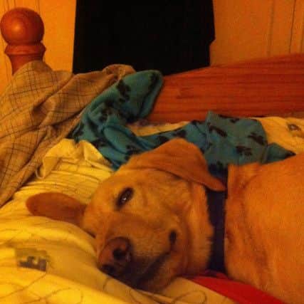 Tyson loves bedtime