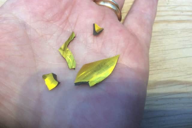 The 'dangerous' shards found by Mrs Connellan. NNL-170711-110748005