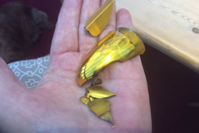The 'dangerous' shards found by Mrs Connellan. NNL-170711-110800005