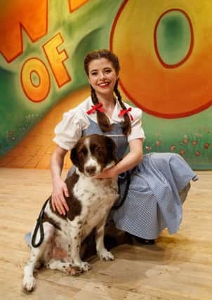 Could your dog be the perfect companion for Dorothy?